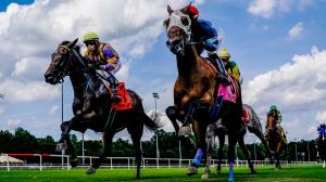 Fev Rover, Beverly D. Stakes, Colonial Downs, Eclipse Sportswire